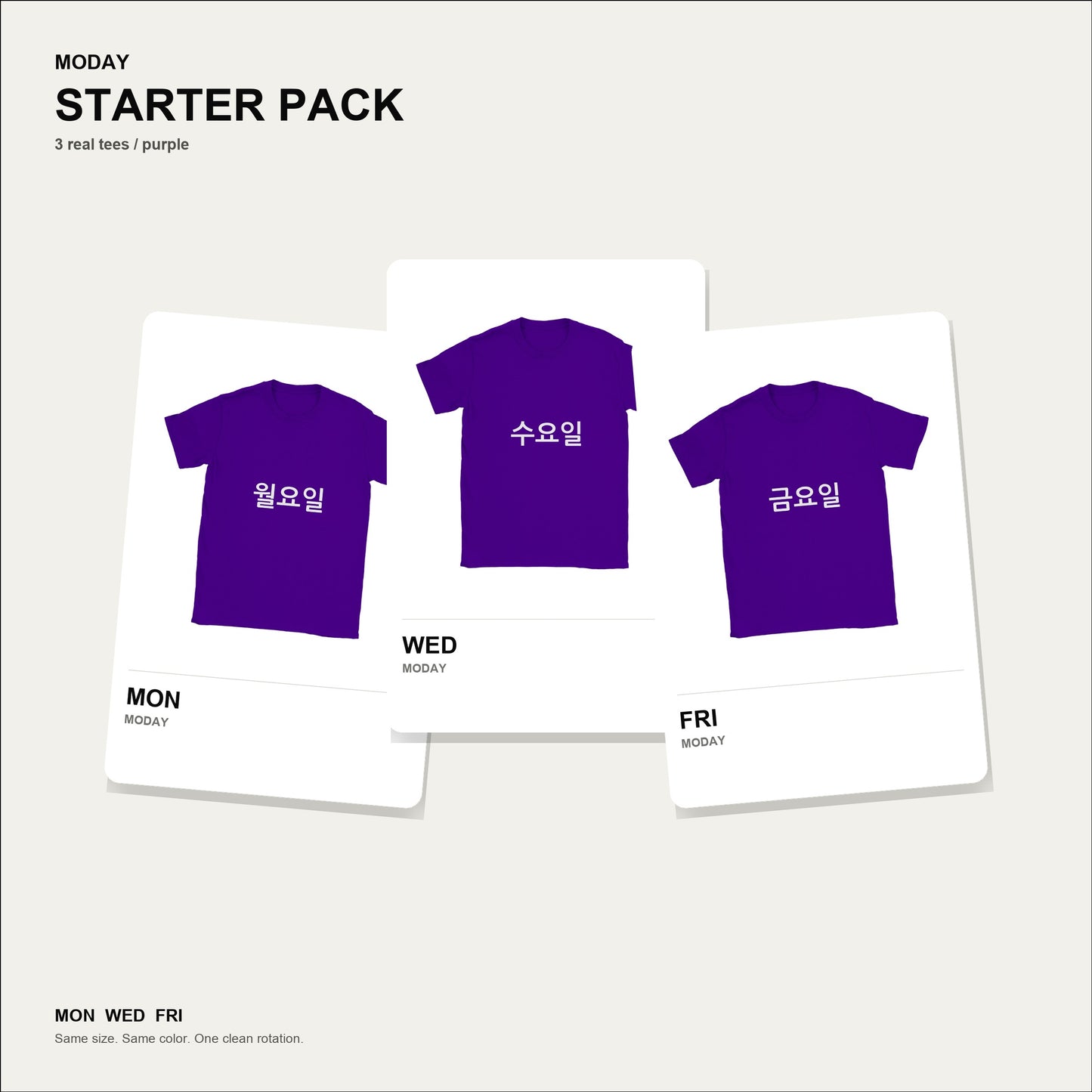 moday-starter-pack-ko-nanumgothic bundle hero 紫