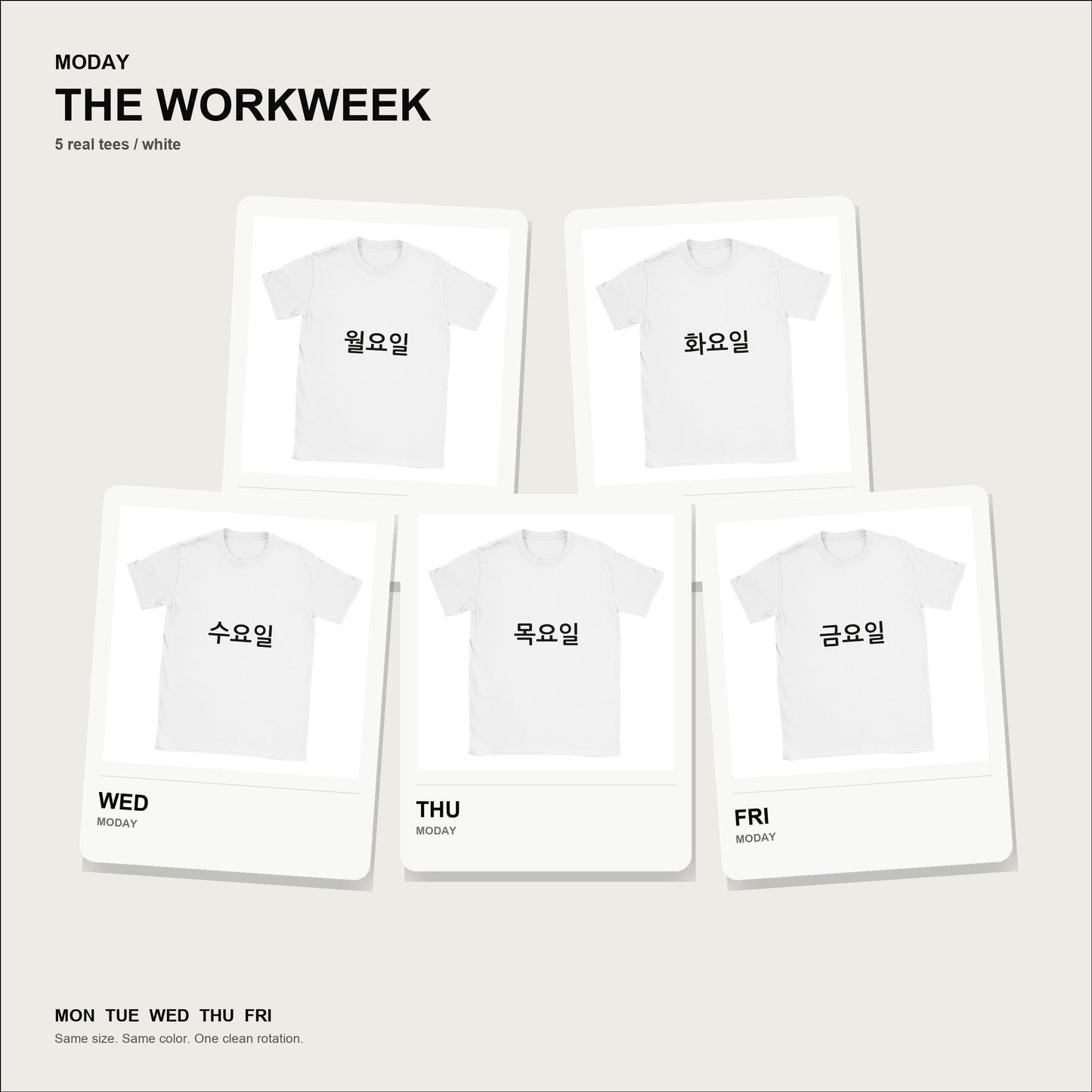 moday-the-workweek-ko-nanumgothic-light bundle hero 白