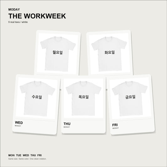 moday-the-workweek-ko-nanumgothic-light bundle hero 白