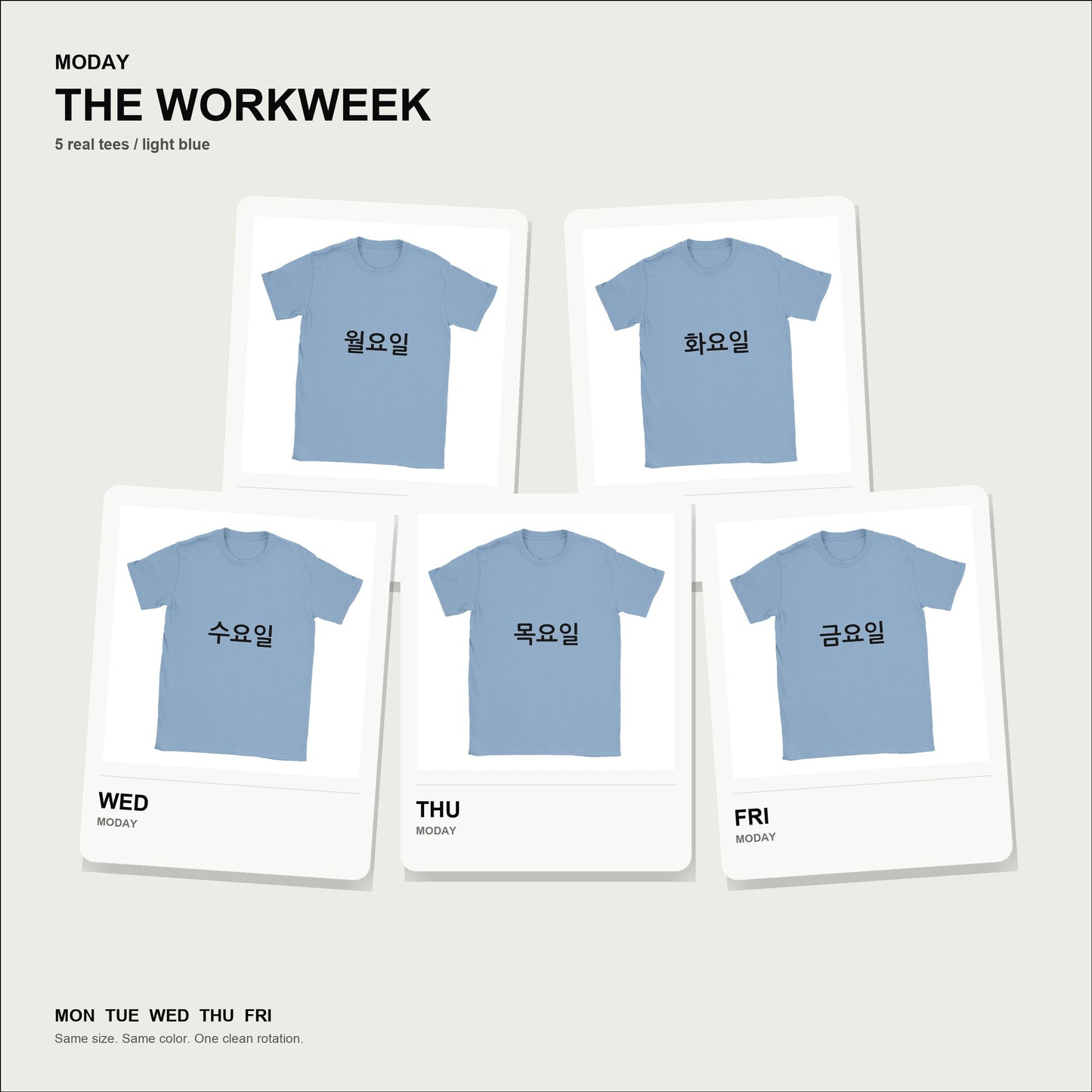 moday-the-workweek-ko-nanumgothic-light bundle hero Light Blue