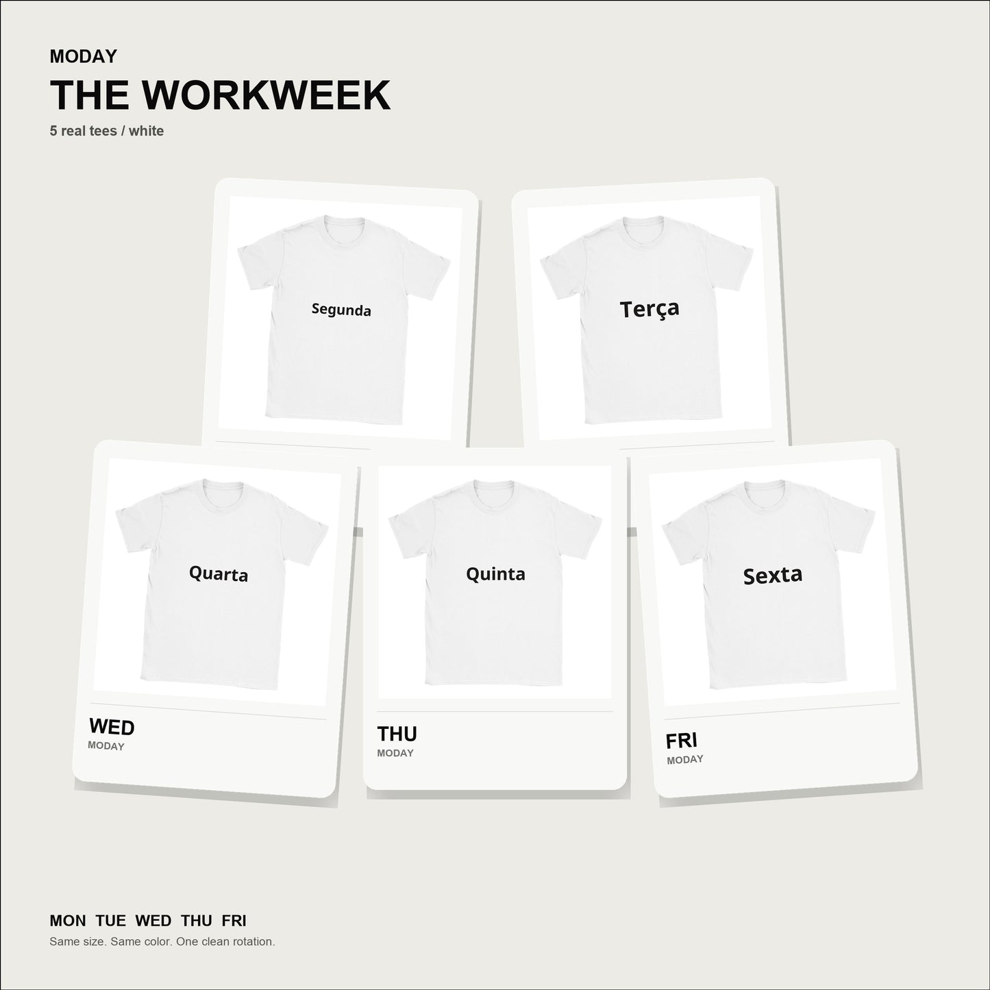 moday-the-workweek-pt-notosans_latin-light bundle hero 白