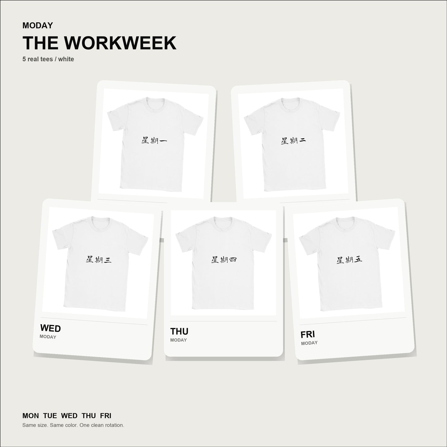moday-the-workweek-zh-longcang-light bundle hero 白